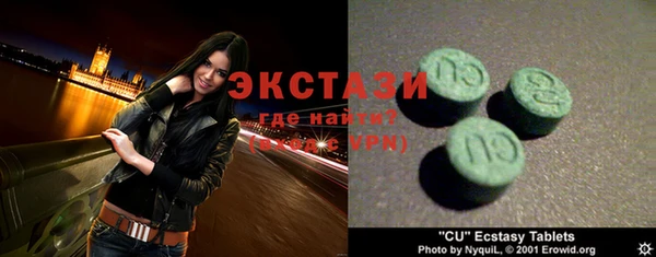 стаф Инта