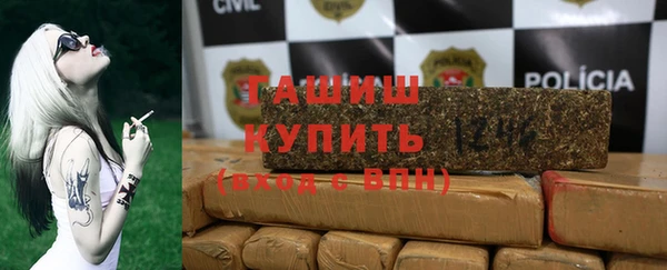 стаф Инта