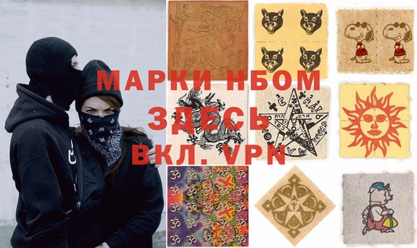 стаф Инта
