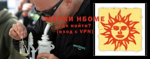 стаф Инта
