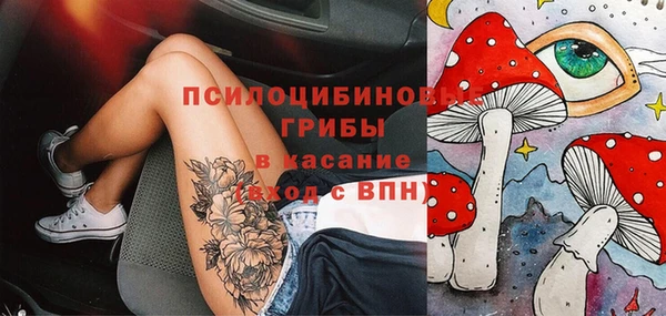 стаф Инта