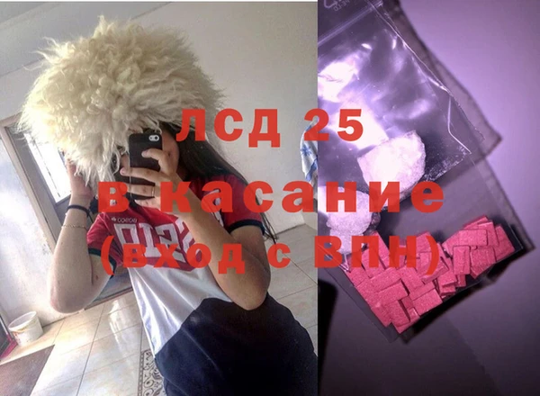 стаф Инта