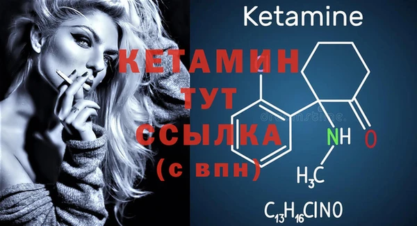 стаф Инта