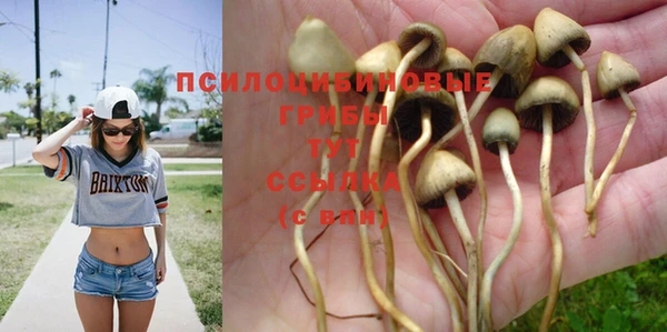 мет Иннополис