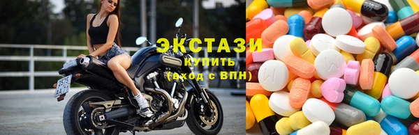 стаф Инта