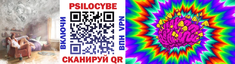 Псилоцибиновые грибы MAGIC MUSHROOMS  как найти   Славск 
